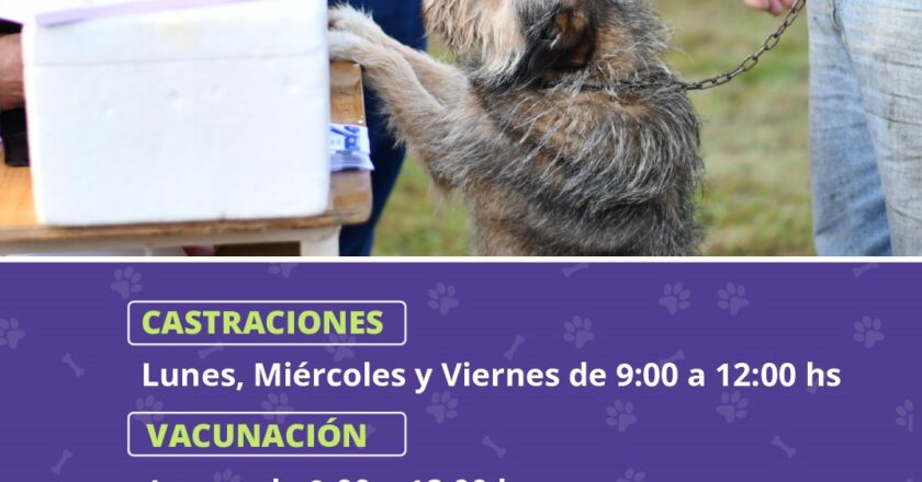 Desde el área de Inspección se informa que la campaña de zoonosis se desarrollará en Vieytes durante el mes de noviembre