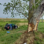 Identificaron a la mujer y las dos nenas de La Plata que murieron en el trágico choque de la Ruta 11