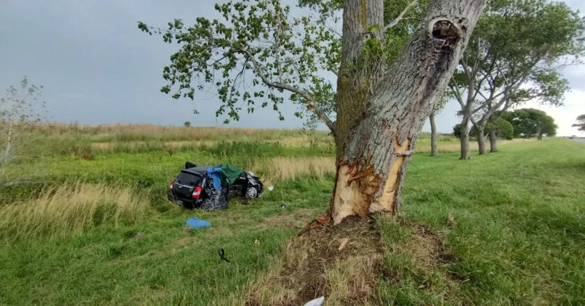 Identificaron a la mujer y las dos nenas de La Plata que murieron en el trágico choque de la Ruta 11