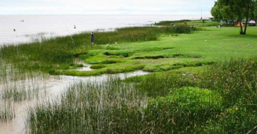 Atalaya: Historia y Patrimonio de los Saladeros en Magdalena