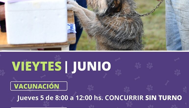 ZOONOSIS EN VIEYTES