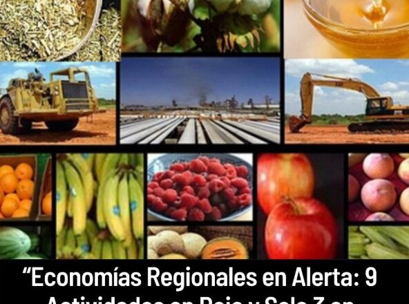 “Economías Regionales en Alerta: 9 Actividades en Rojo y Solo 3 en Verde”