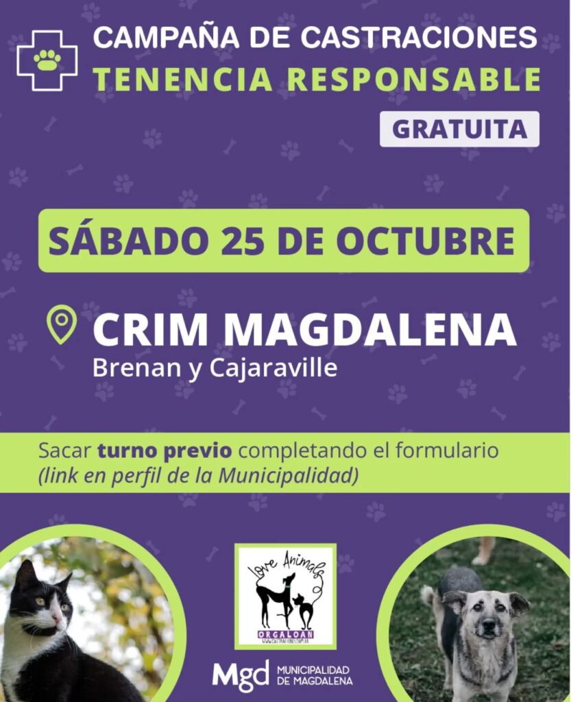 Nueva jornada de castraciones masivas junto a Love Animals
