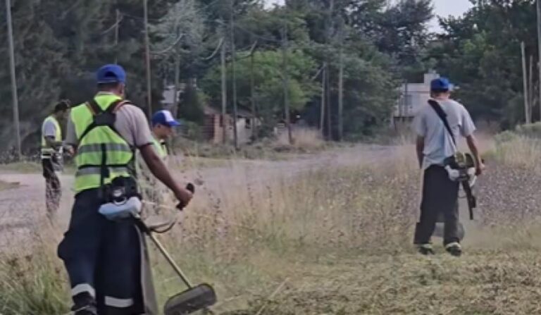 Avanzan tareas de mantenimiento y saneamiento en el barrio La Loma