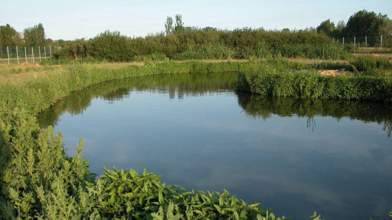 Impulsan la creación de una reserva natural para proteger el arroyo El Pescado y sus humedales –